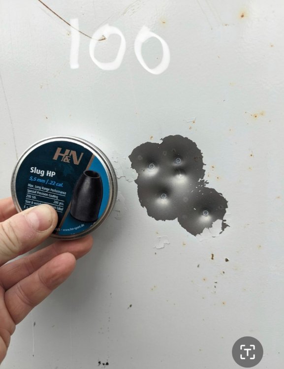 H&N Slug HP 100m.jpg