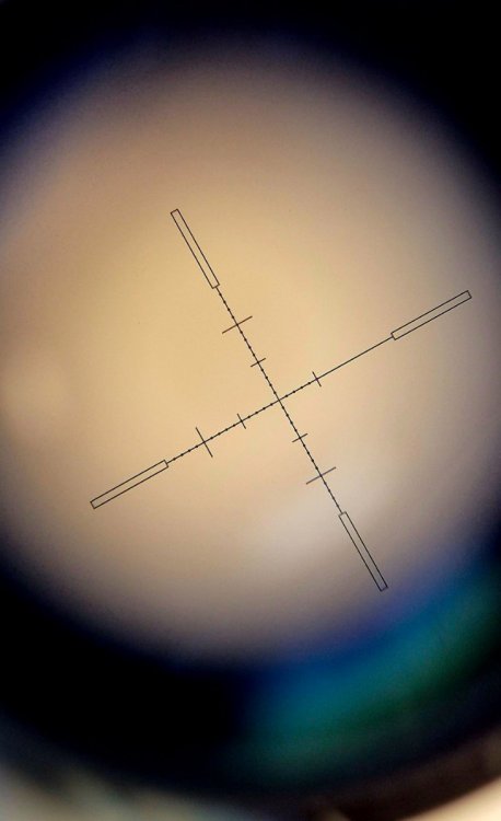 20250429_112626.jpg