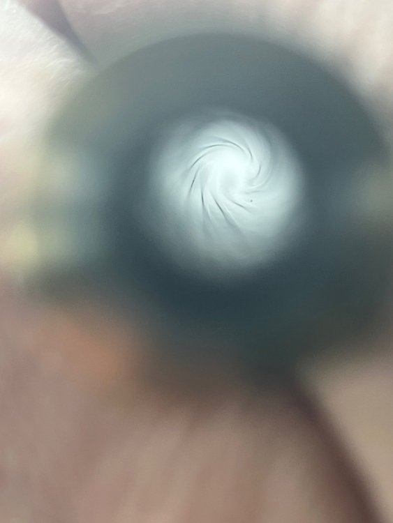 IMG_7912.jpeg