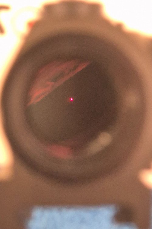 20250527_090814.jpg