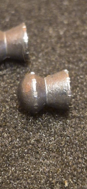 20250828_184018.jpg