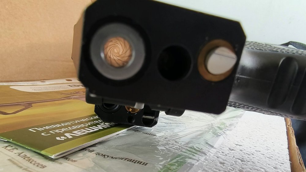 aviary-image-1755332052066.jpeg