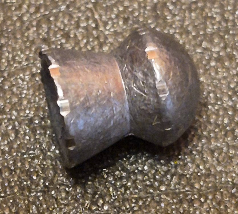20250916_071927.jpg