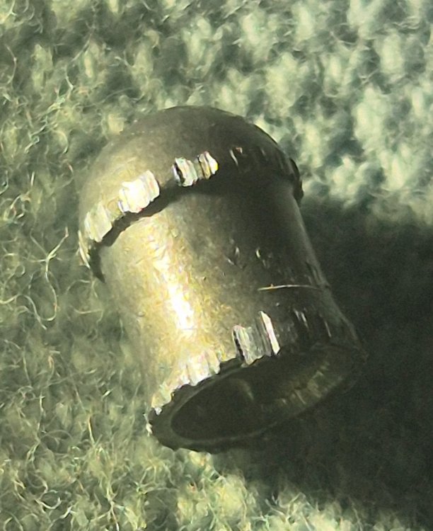 20250918_071555.jpg